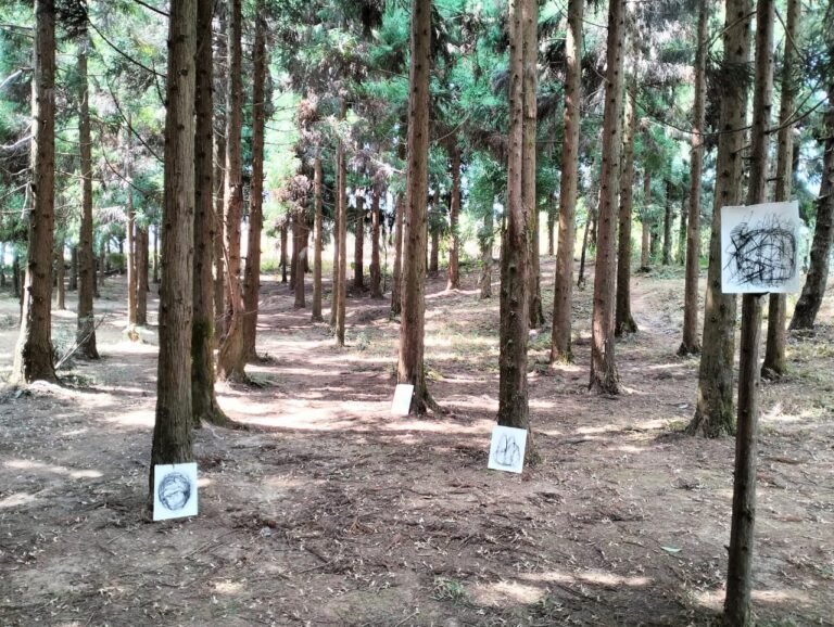 WhatsApp Image 2023-03-09 at 10.20.38 AM